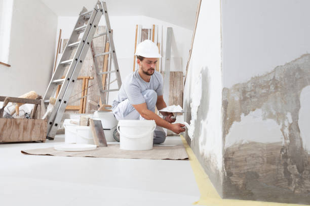 Best Interior Painting  in USA